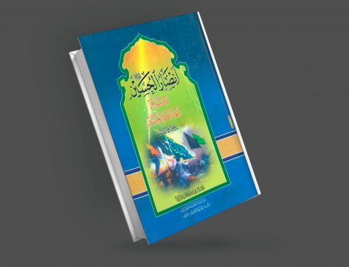 أنصار الحسين عليه السلام، دراسة عن شهداء ثورة الحسين (عليه السلام) الرجال والدلالات